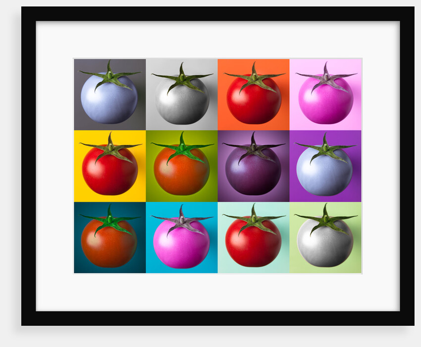 Multi coloured tomatos by Assaf Frank